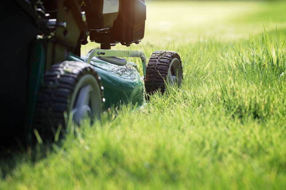 Should I Start An LLC For My Lawn Care Business?