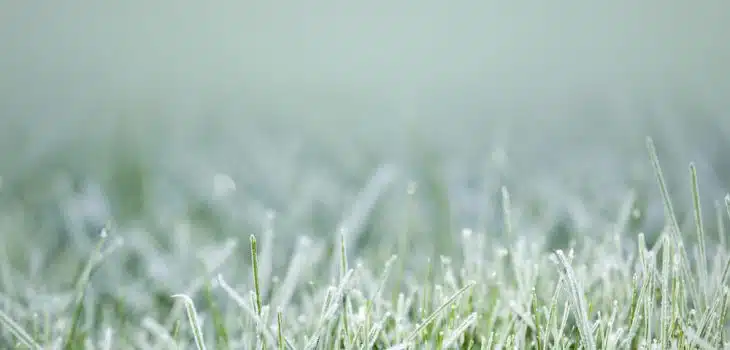 easy steps to winterize your lawn and garden