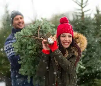 Where to Pick a Christmas Tree in Ottawa